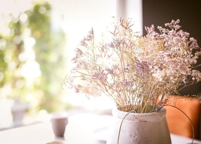 Vakantiewoning Cha Nostra Ferienhaus Moorveld