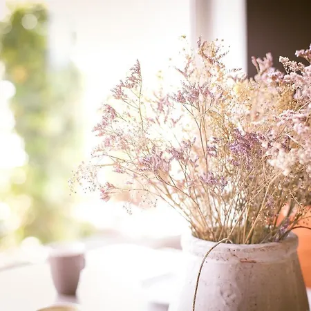 Vakantiewoning Cha Nostra Dom wakacyjny Moorveld